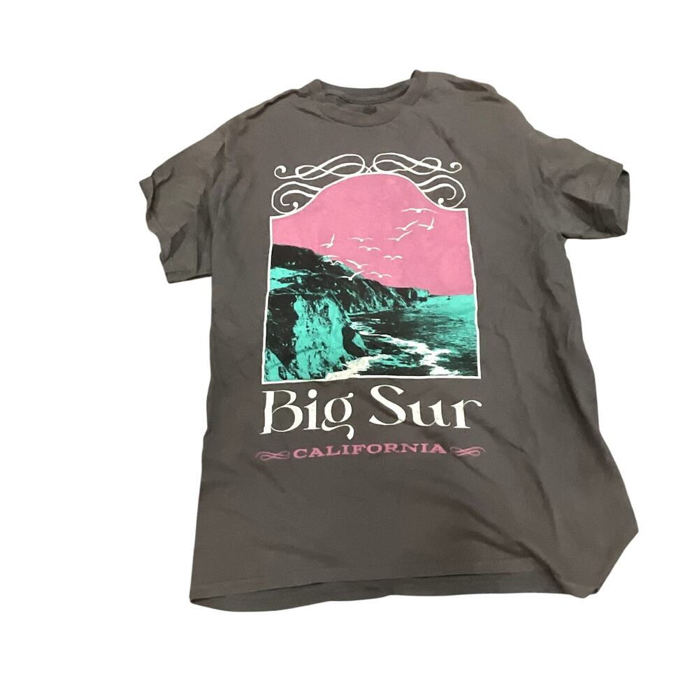 Kid Dangerous Graphic T Shirt Men Medium Gray Big Sur Cotton